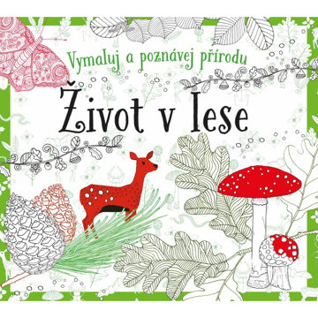 Obrázek Život v lese - omalovánky